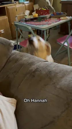 Oh Hannah 