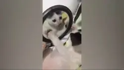 .