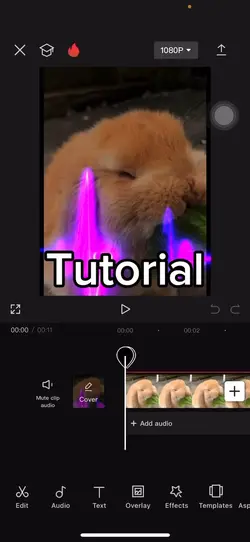 Tut🤗😏🤫🤫🧏🧏🧏🧏🧏