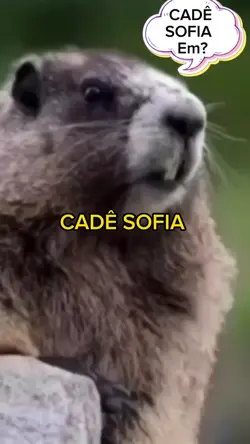 Sofia 