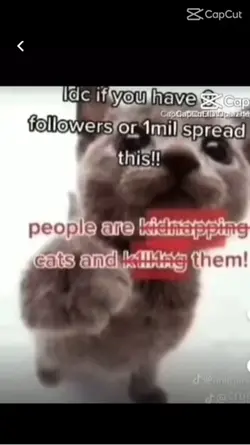 Animal Awarenes