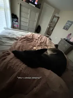 i love sleeping.