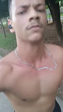 canção tfm