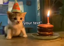 Cat birthday 