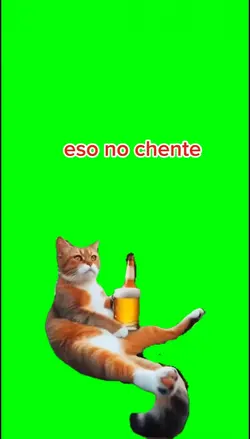 gato bebiendo 