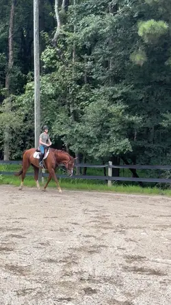 stretchy trot