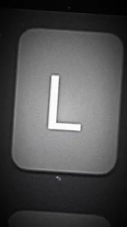 L.O.V.E