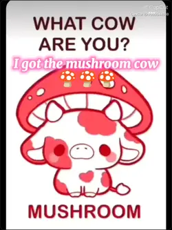 What Cow Are You?