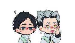 Owl‼️