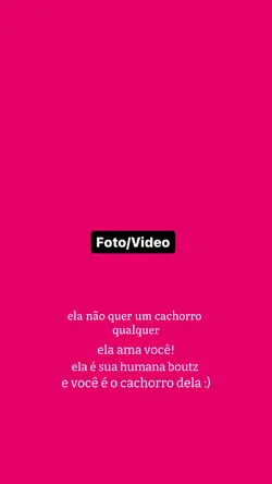 modelo viral no ttk