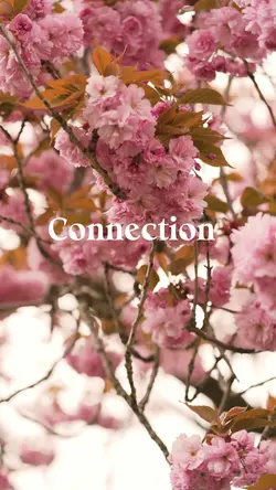 Connection 