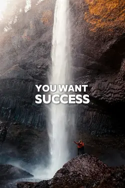 You want success
