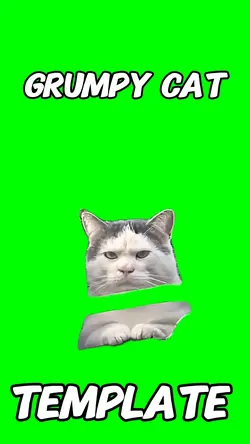 Grumpy Cat