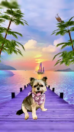 Sitting on the Dock