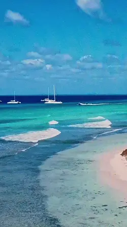 Summer vibes