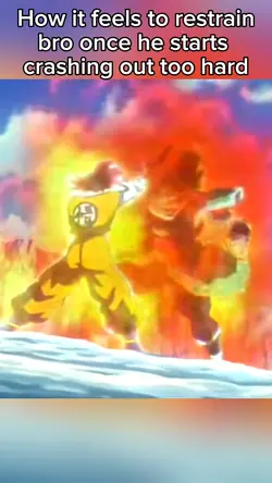 Funny DBZ Meme 