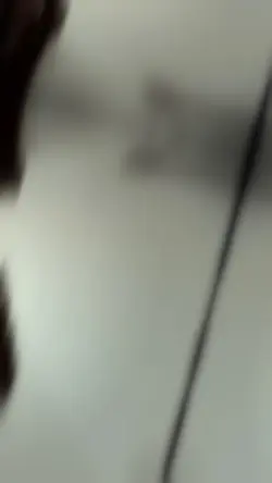 ﮼شیر‌استاد‌رضا‌ازتو‌بکذ🖤