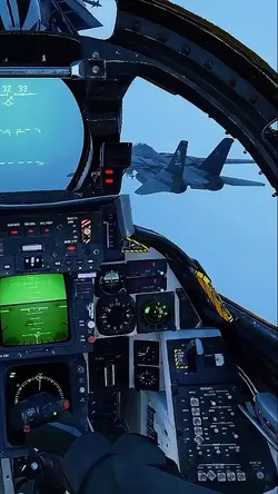 F-14 motivação