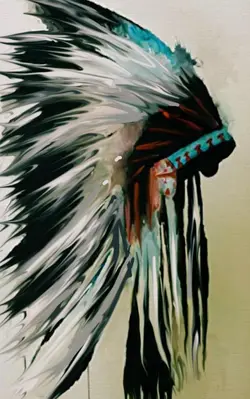 #Indian headdress