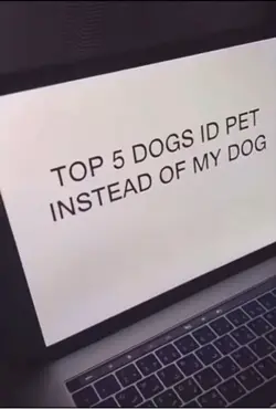 😭🥺🥺😔🐶
