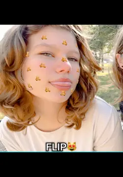 flippity flip