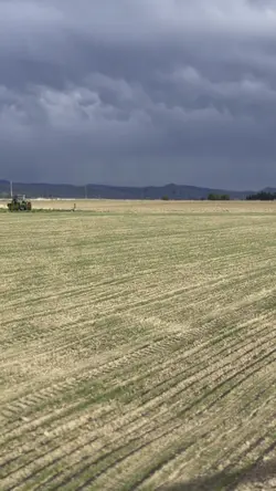Field time