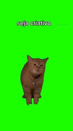 gato cantando 