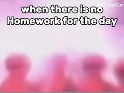 There is no homework