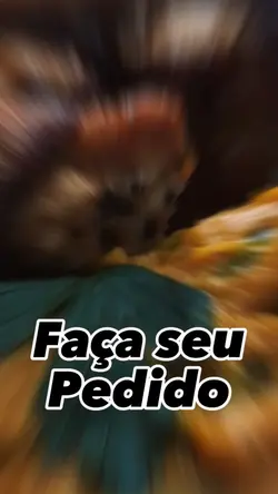 Agenda aberta