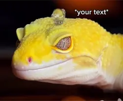 Slick lizard  