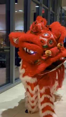 Year of The Drago