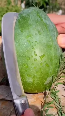 Fruta manga 