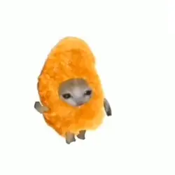 Nugget cat