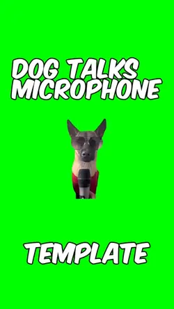Dog talks microphone