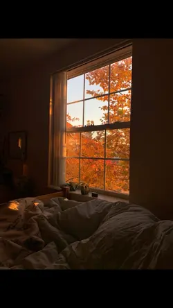 fall obsession🍂☕️🧸