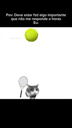 Gato jogando tênis 