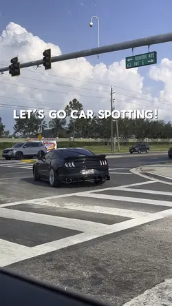 Let’s go car spottin