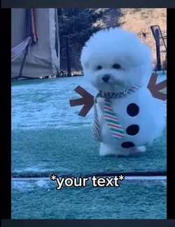 Snowdog  