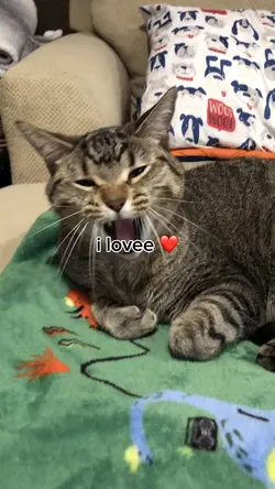:)