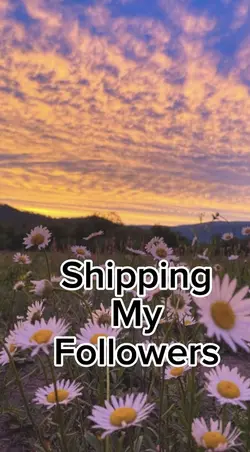 Shipping followers❤️🧡