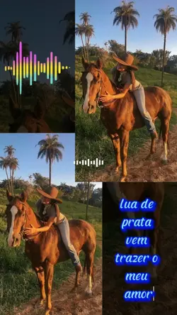 "LUA DE PRATA"