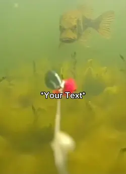 Determined Fish