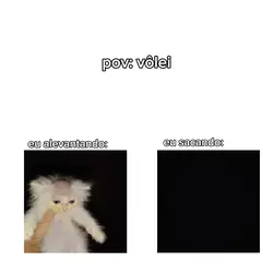 eu no vôlei 