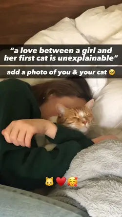 cat trend🐱🥹