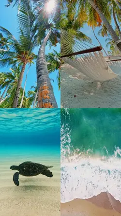 Travel Template 🌴