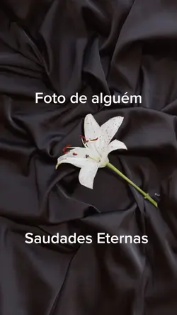 Meu luto