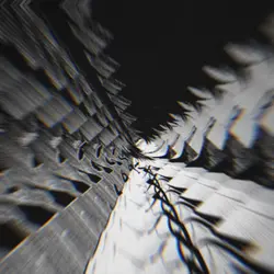 CRAZY Transitions 2