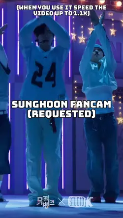 Free Sunghoon fancam