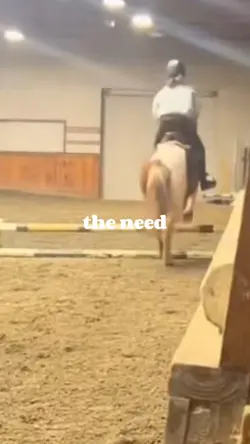 edit for stablestri-