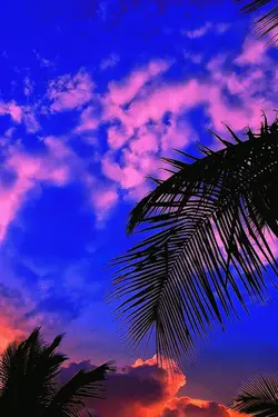 Sky Filter